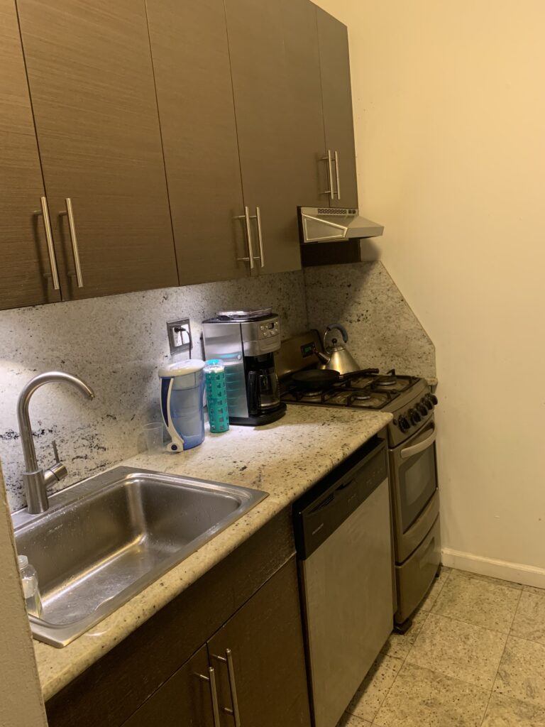 Upper East Side 2 bedroom Aptサブレット (8/13 -)